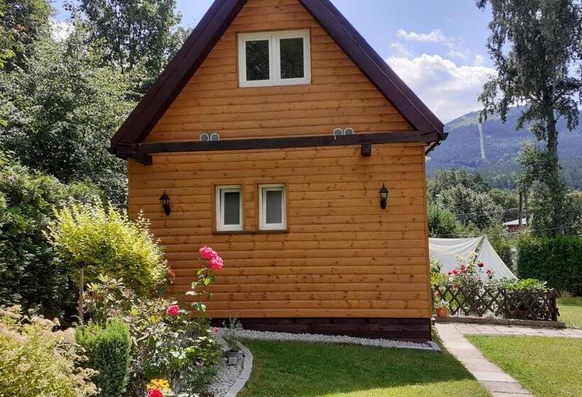 پانسیون Willa Ambra