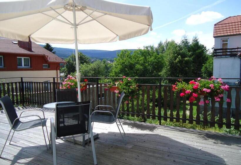 پانسیون Willa Ambra