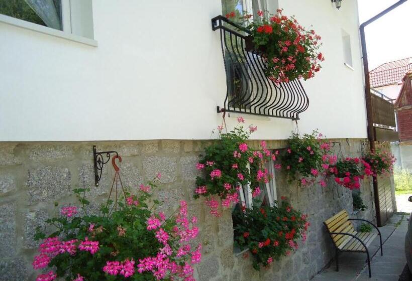 پانسیون Willa Ambra