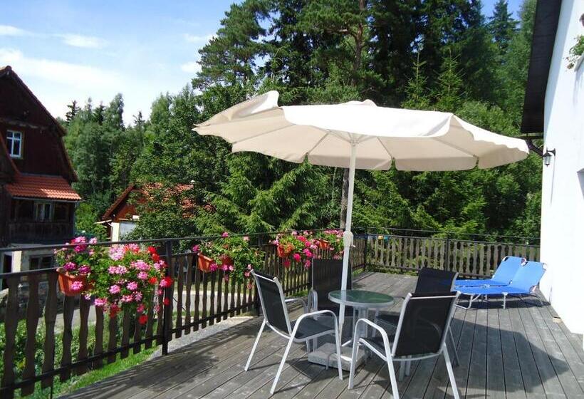 پانسیون Willa Ambra