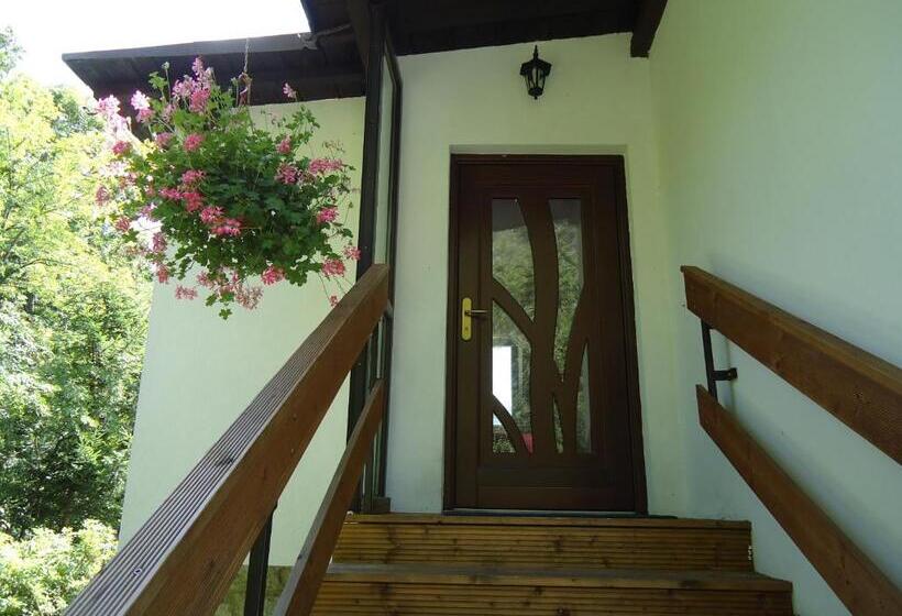 پانسیون Willa Ambra