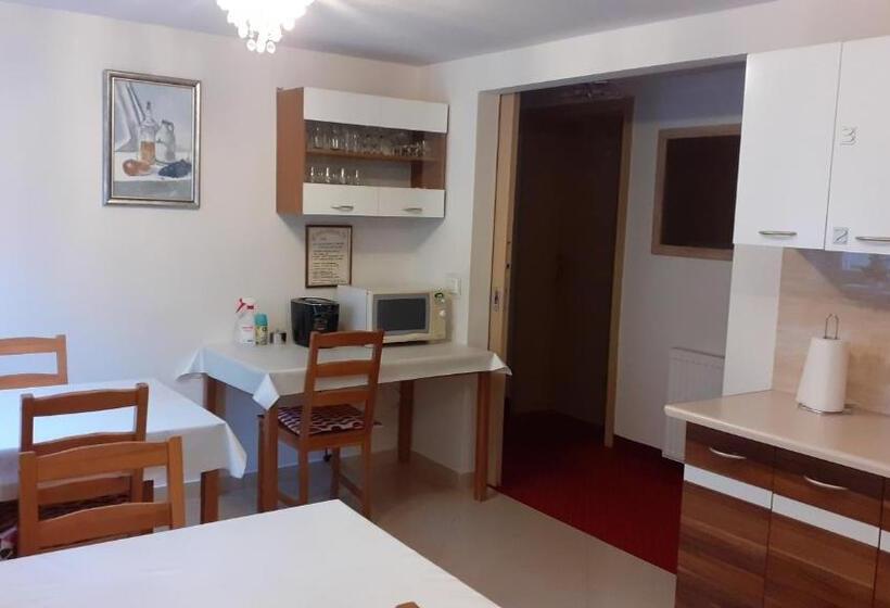 پانسیون Willa Ambra