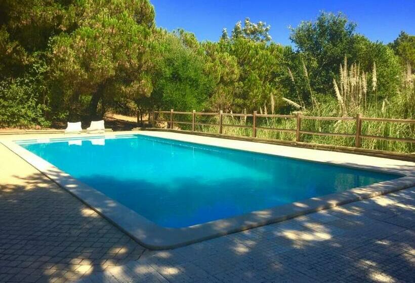 酒店 Quinta Das Salamandras