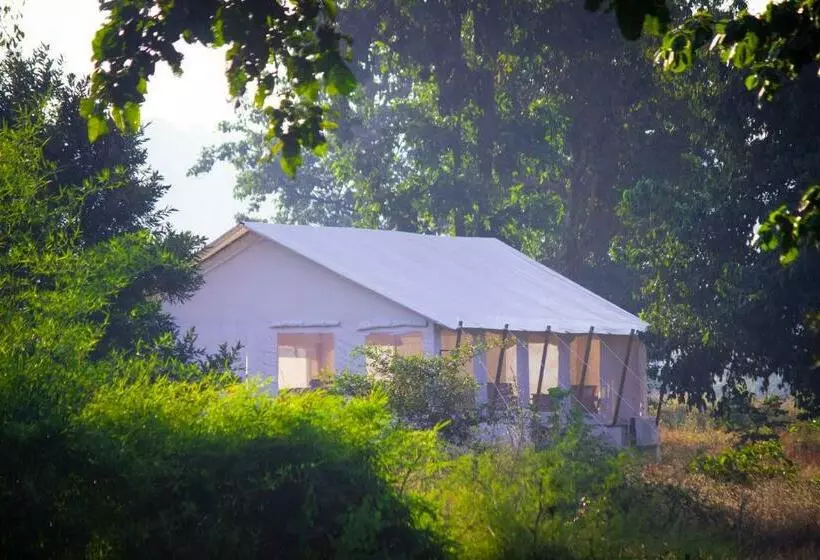 ホテル Umaria Safari Camp   Kanha National Park