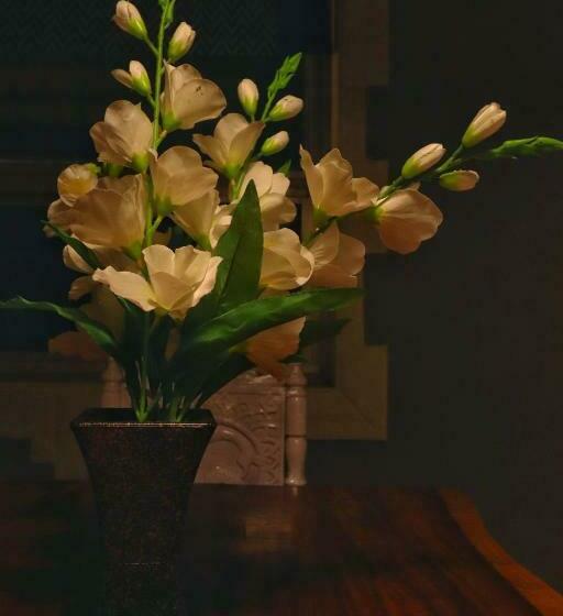 בית מלון כפרי Velvet Rooms By 29bungalow