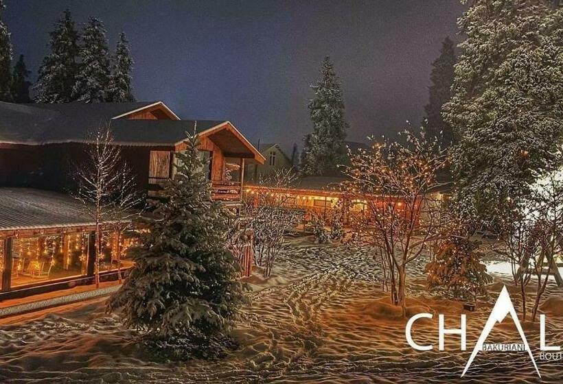 Pensió Chalet In Bakuriani