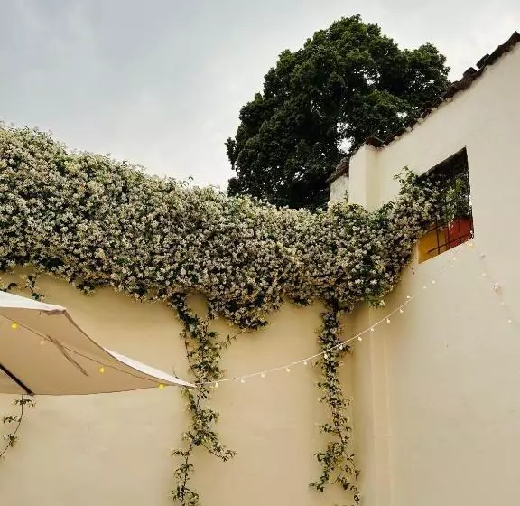 Majatalo Dépendance La Corte