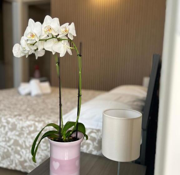 膳宿费 Dépendance La Corte