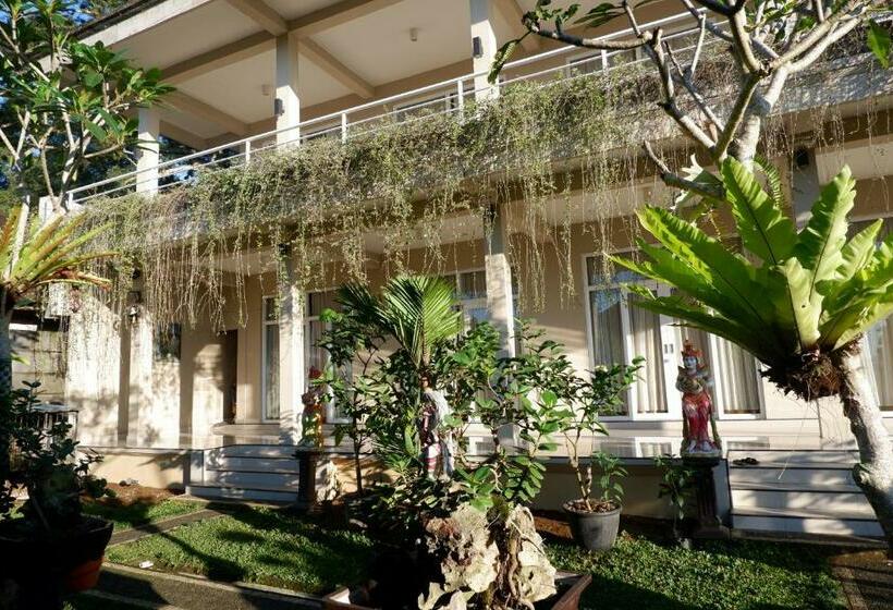 Пансион Gunza Bed And Breakfast