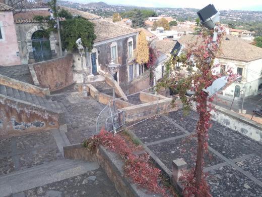 膳宿费 Armony House