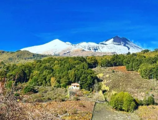 Majatalo Armony House