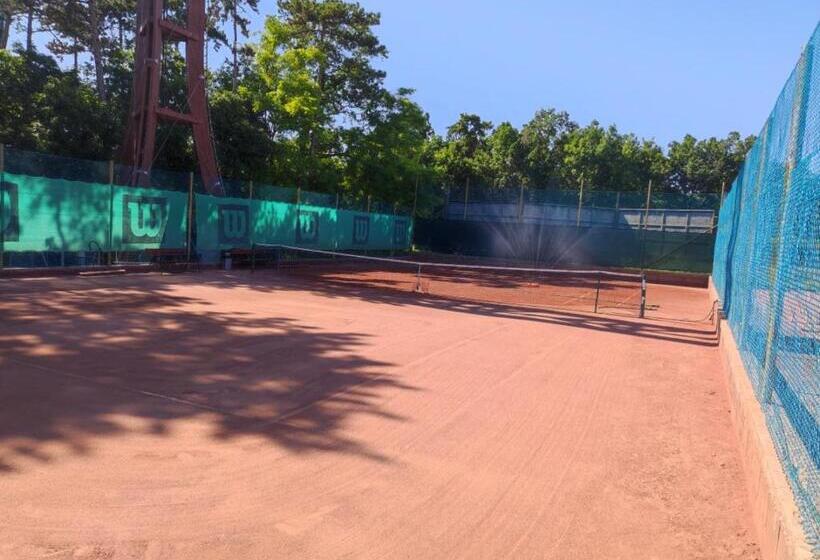 ペンション Balatonakali Teniszklub és Vendégház