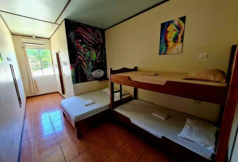 ペンション Music Hostel Santa Teresa