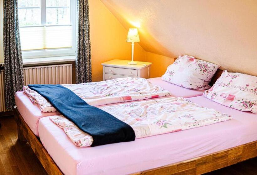 הוסטל Landhaus Müden