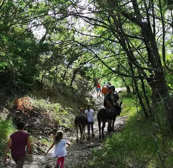 Aamiaismajoitus (B&B) Il Canto Dell Asino