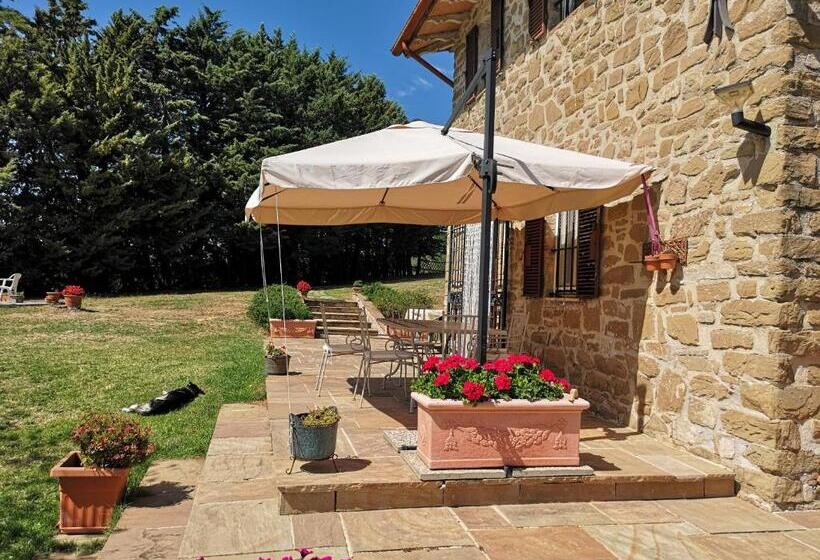 مبيت وإفطار Il Canto Dell Asino