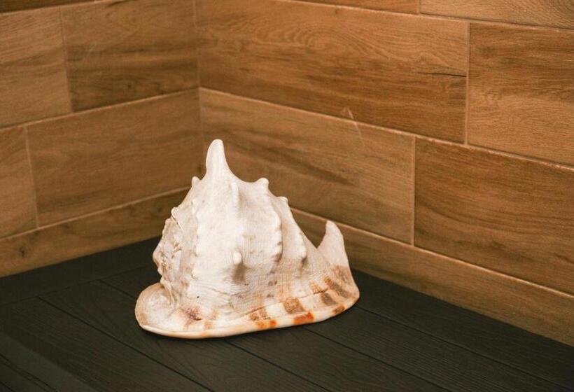 پانسیون Dimora Petra  Suites