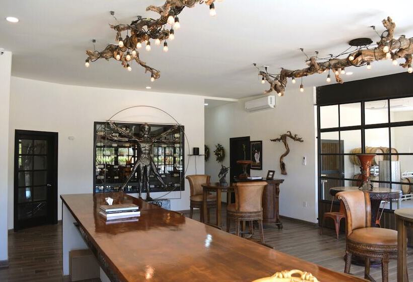 住宿加早餐 Palazzo Del Valle, Alojamiento Y Desayuno