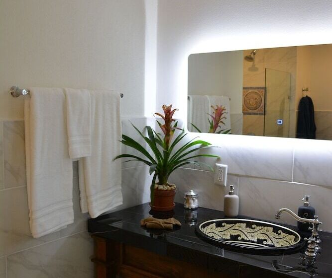 住宿加早餐 Palazzo Del Valle, Alojamiento Y Desayuno