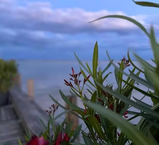 ベッドアンドブレックファースト Mediterranean Lake Escape House