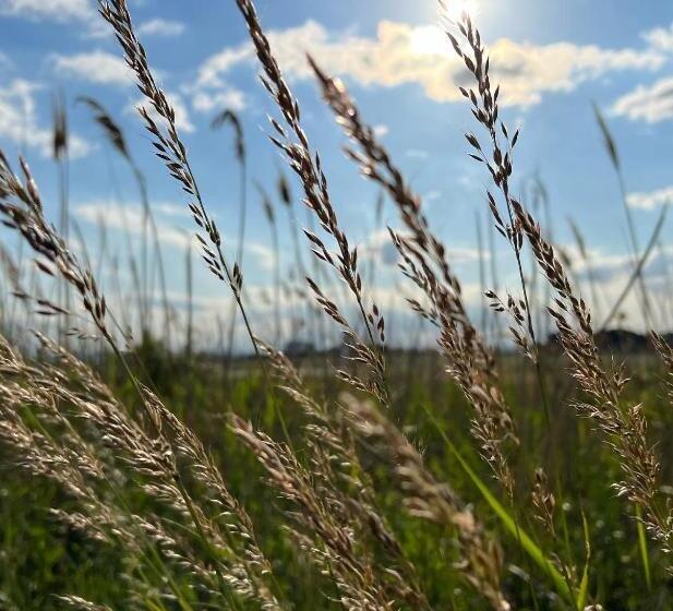 Bed and Breakfast Mediterranean Lake Escape House