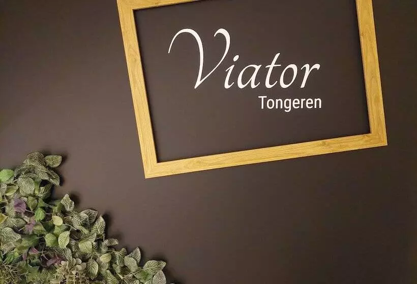 Aamiaismajoitus (B&B) Viator