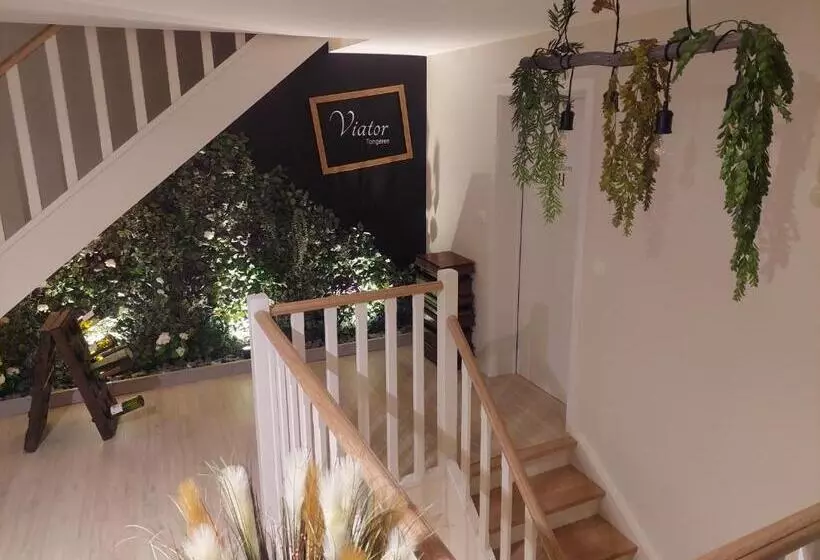 Aamiaismajoitus (B&B) Viator