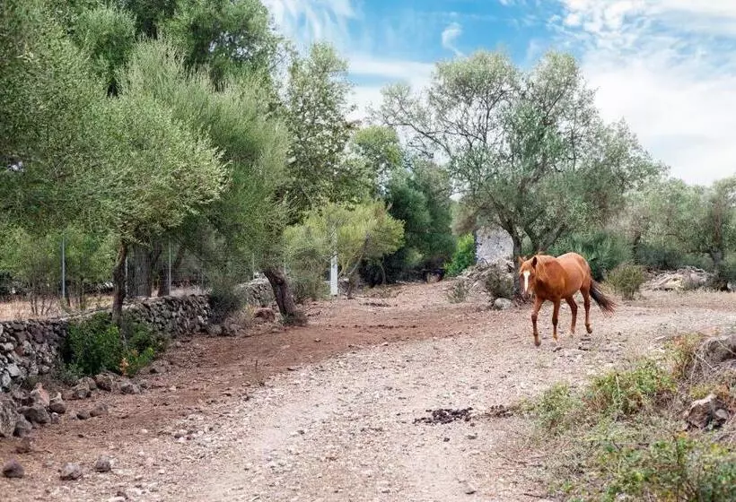 ホテル Agriturismo La Croisette