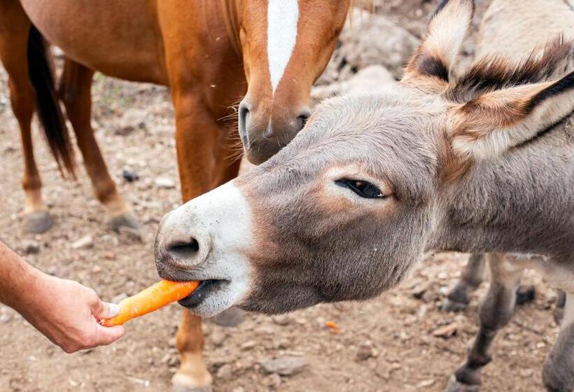 Отель Agriturismo La Croisette