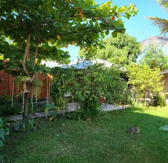 ペンション Aparta Hotel Palmerola