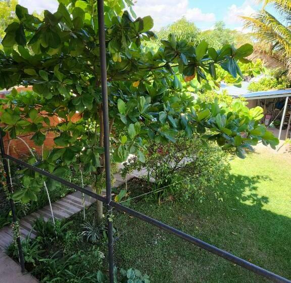 پانسیون Aparta Hotel Palmerola