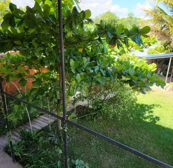 ペンション Aparta Hotel Palmerola