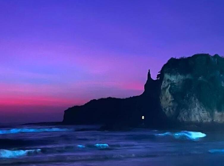 پانسیون Casa Bony