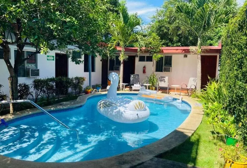 پانسیون Hostal Clary