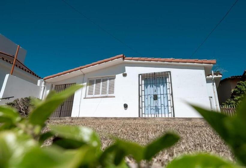 호스텔 American Hoteles