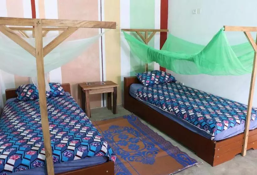 هاستل Cdac Elijah   Espace Culturel