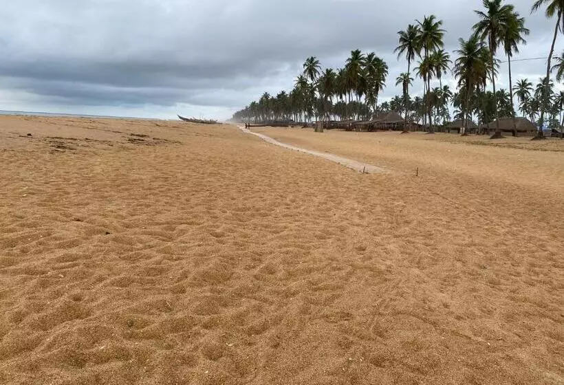 هاستل Cdac Elijah   Espace Culturel