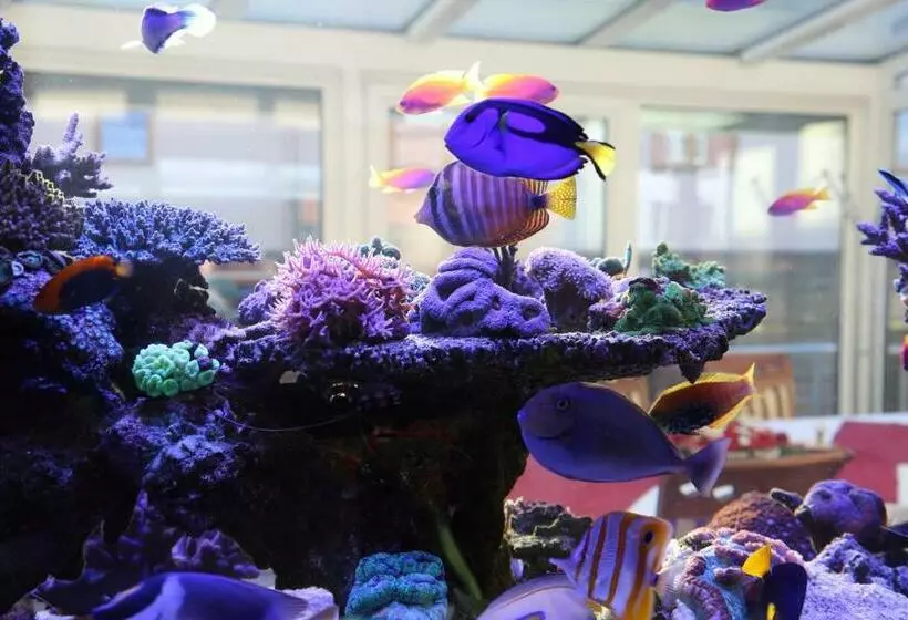 Chau Asiatisches Restaurant Und Pension