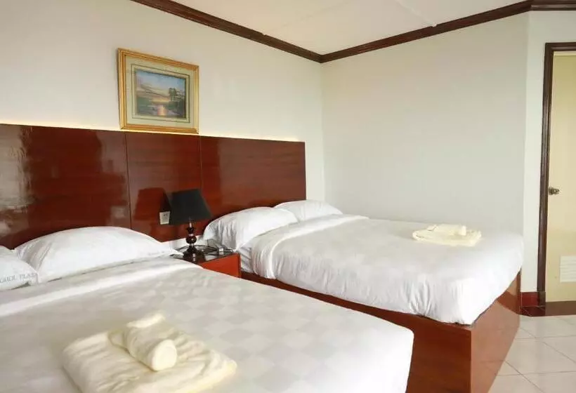 ホテル Bohol Plaza Mountain Resort And Restaurant