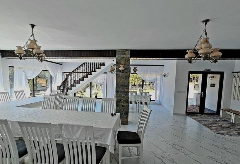 پانسیون Conacul Munții Bucovinei