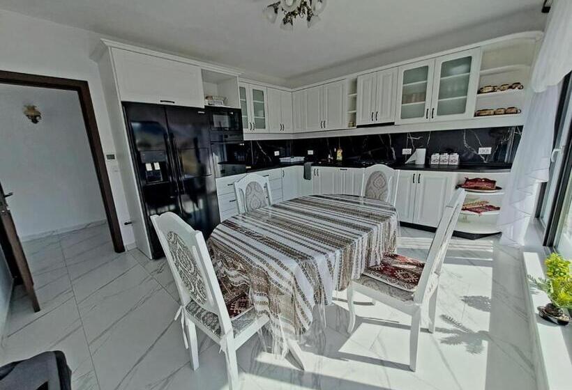 پانسیون Conacul Munții Bucovinei