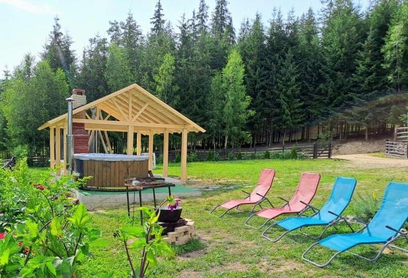 پانسیون Conacul Munții Bucovinei