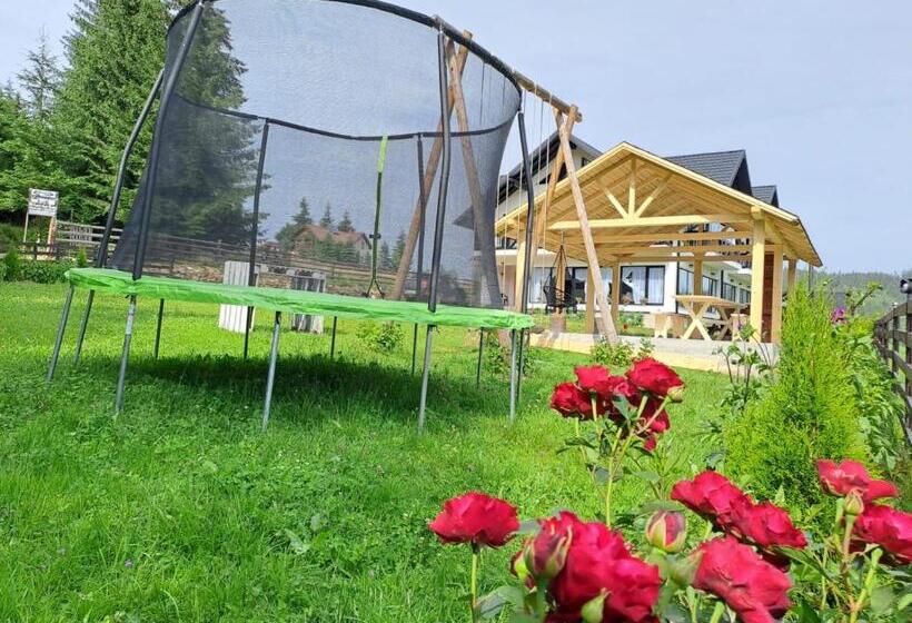 پانسیون Conacul Munții Bucovinei