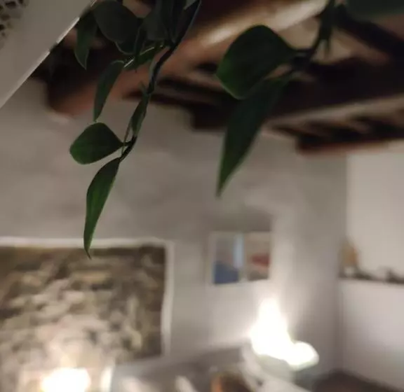 پانسیون Dante S Room Dei Cerchi