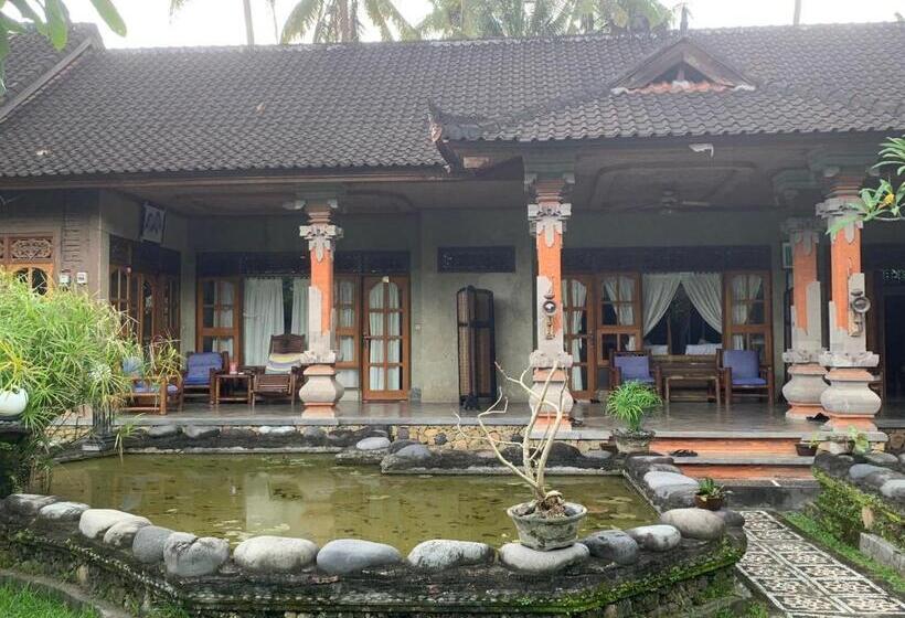 Пансион Narafa S Guest House