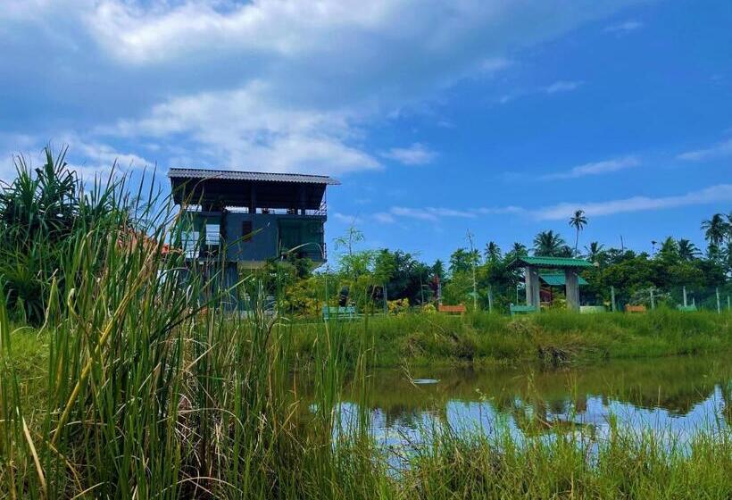 Resort Cinnamon Villa