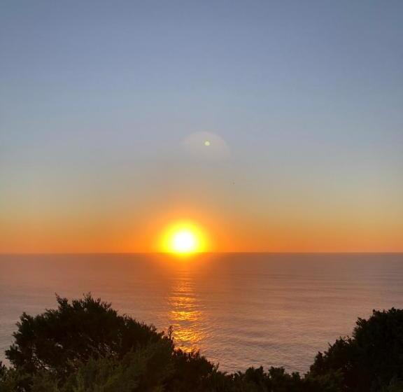 Spray B&b Sitio In Nazare, European Style