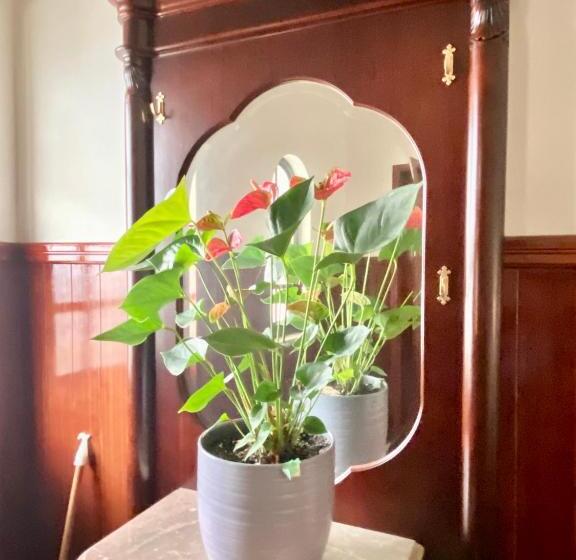 Spray B&b Sitio In Nazare, European Style