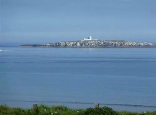 تختخواب و صبحانه Gun Rock