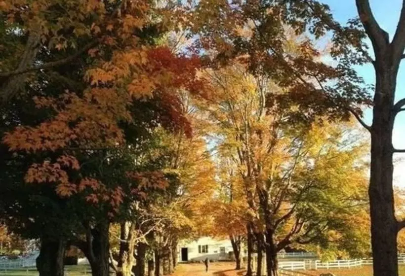 住宿加早餐 The Inn At Richmond